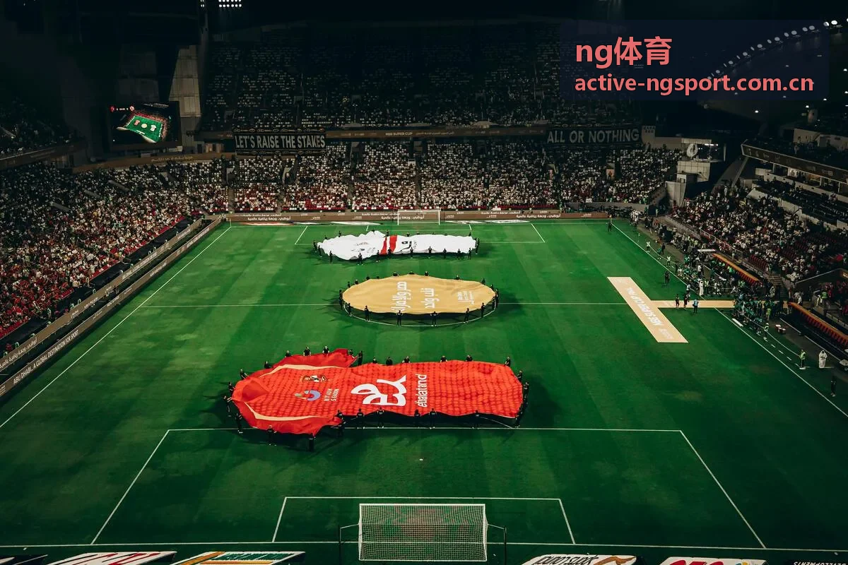 ng体育网球赛事数据案例